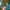 Viral DROBA Game